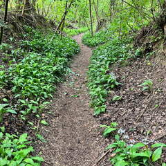 22-04-25 11-24-29 0619